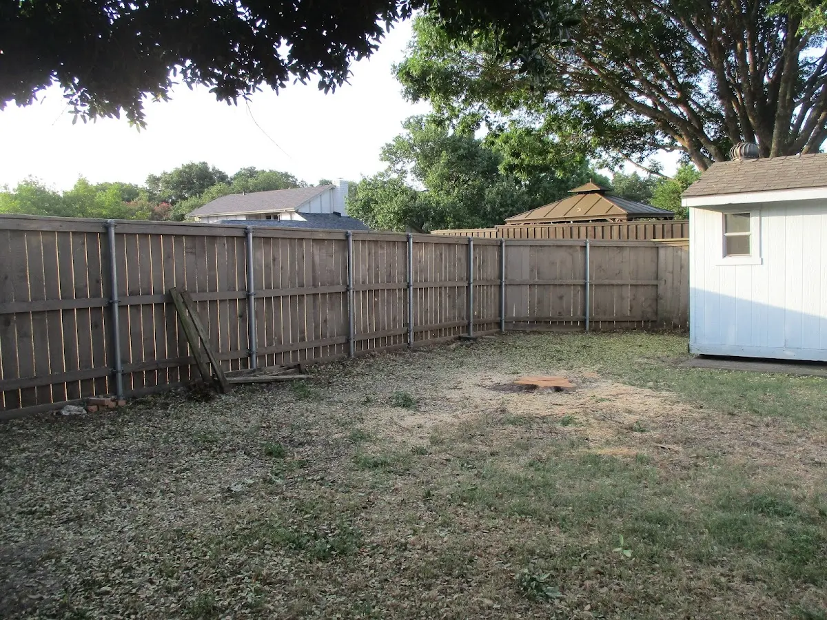 Cleared yard after professional tree removal in Coshocton
